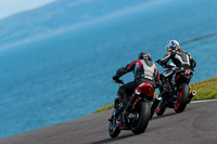 PJ-Motorsport-2019;anglesey-no-limits-trackday;anglesey-photographs;anglesey-trackday-photographs;enduro-digital-images;event-digital-images;eventdigitalimages;no-limits-trackdays;peter-wileman-photography;racing-digital-images;trac-mon;trackday-digital-images;trackday-photos;ty-croes